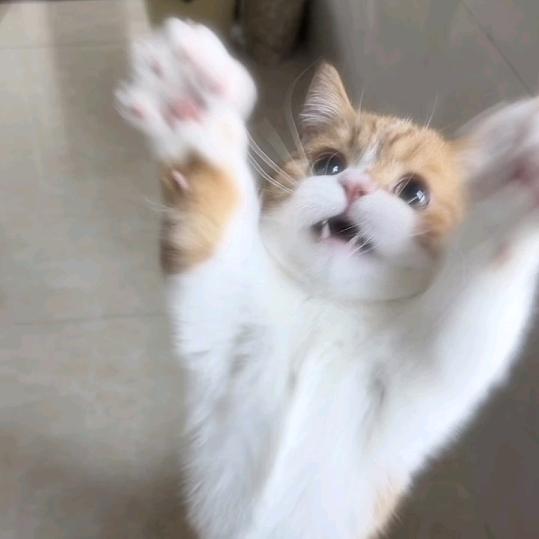 死或生