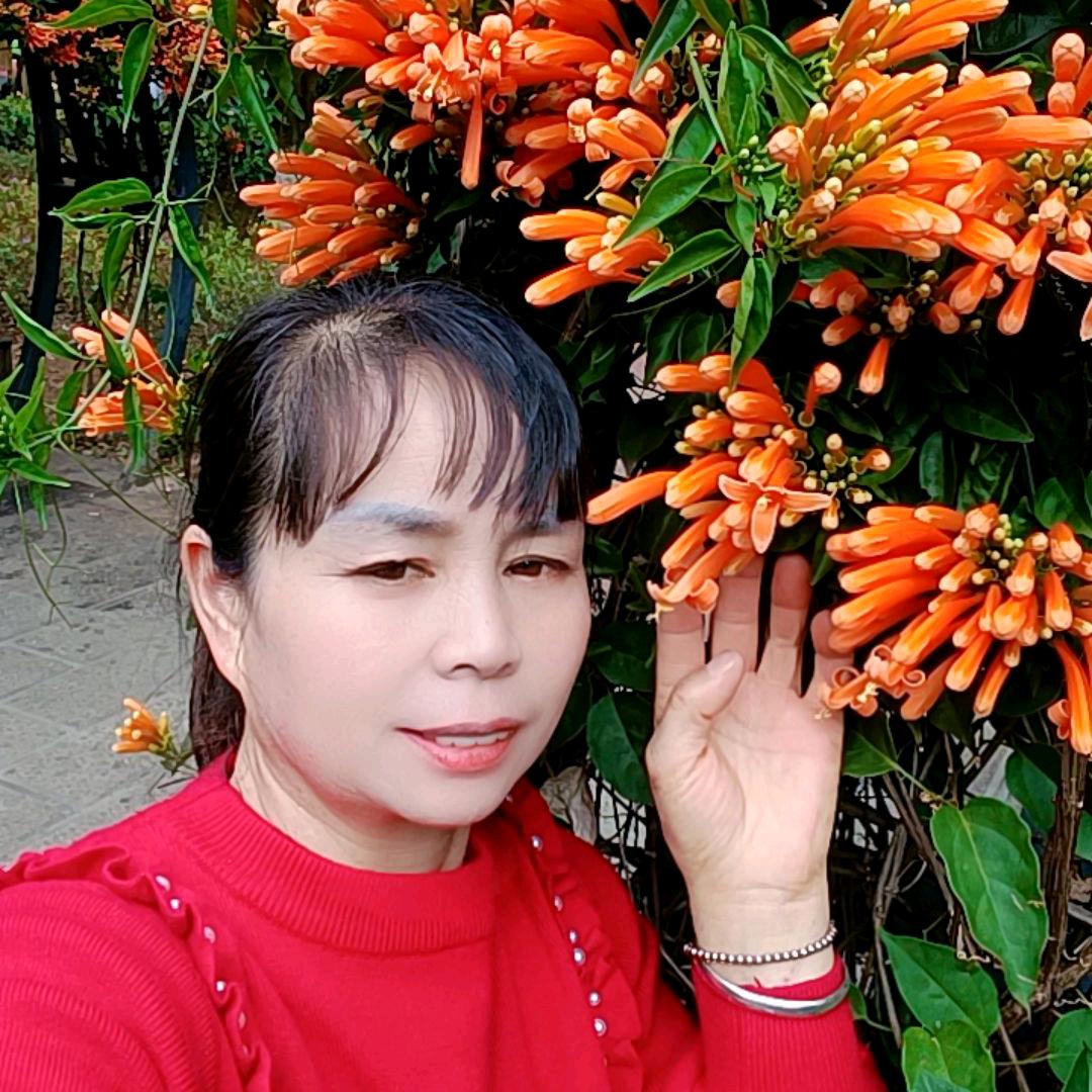 花开瞬间，一切靠自己