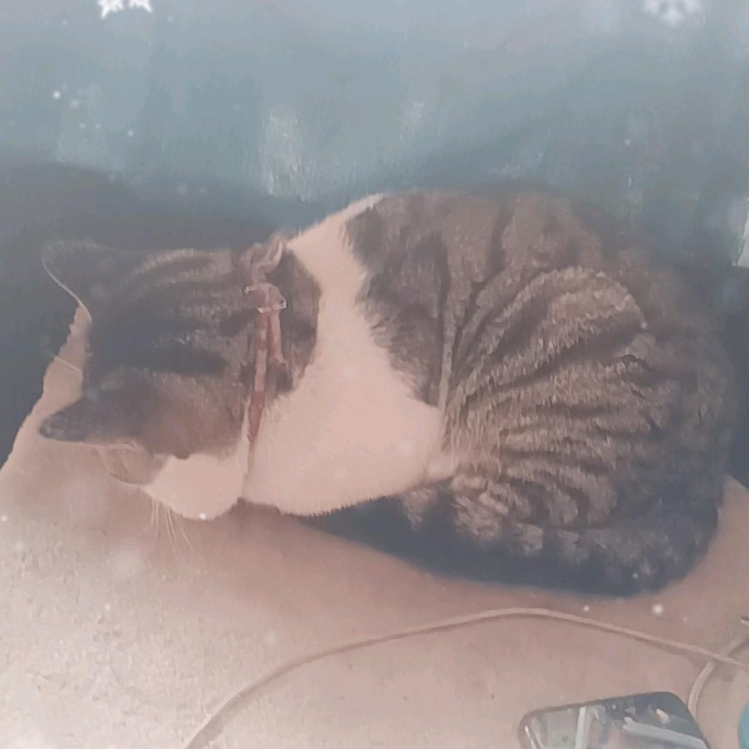 躺平就是最好的创业