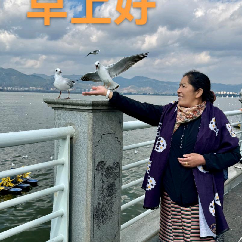 命运