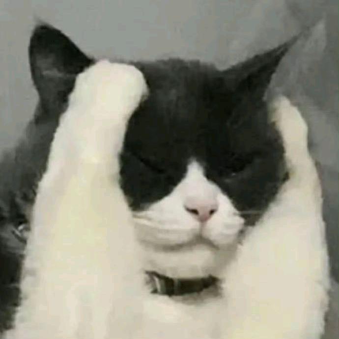 猫烦