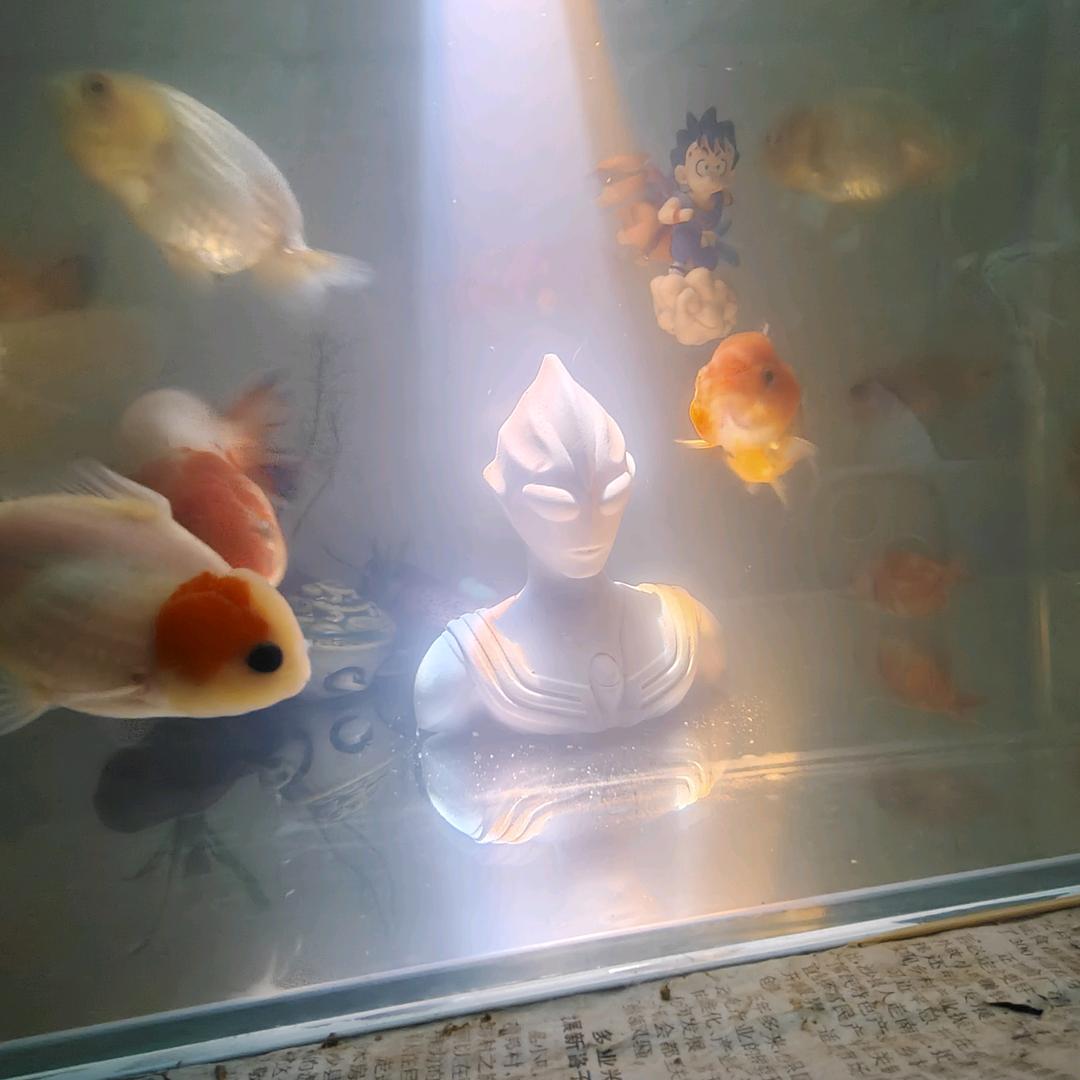 东看西看