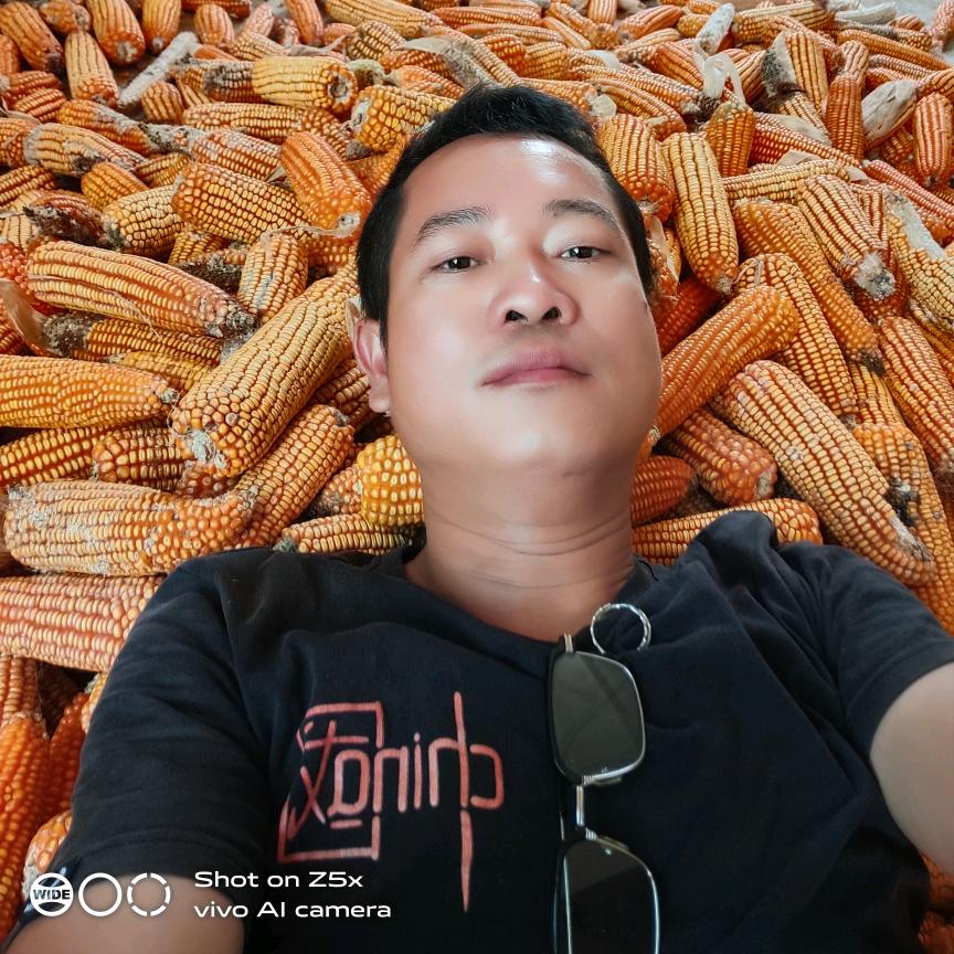 梦达临小小草根音乐