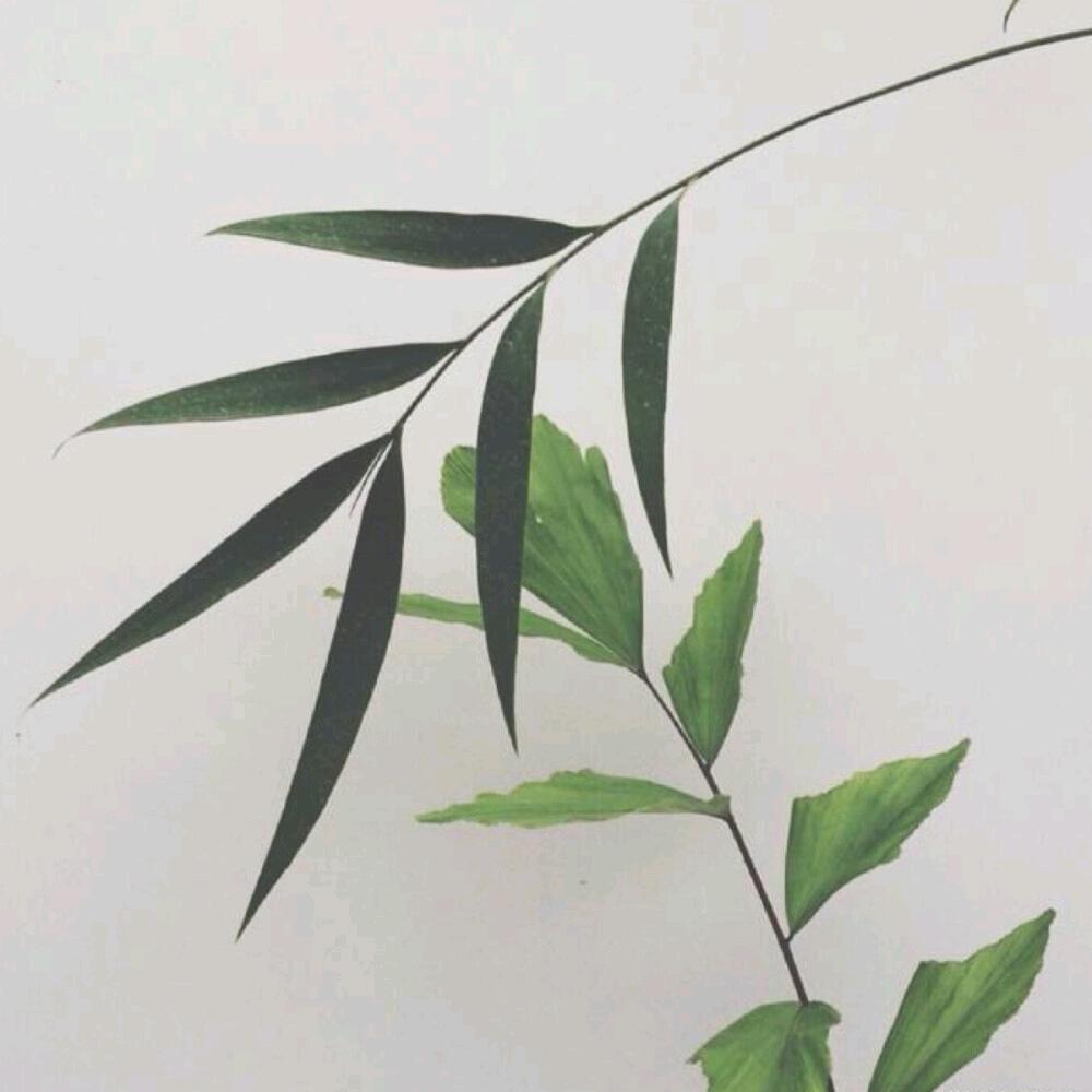 风雨毎日话题
