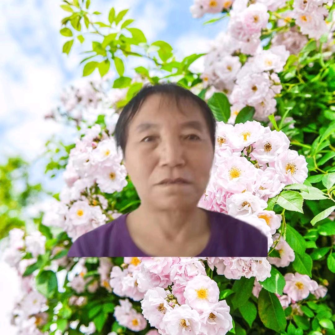 九宫艾，我最爱