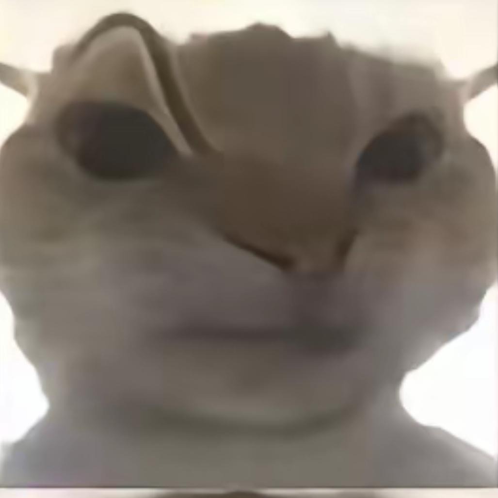 爱玩和平的难忘