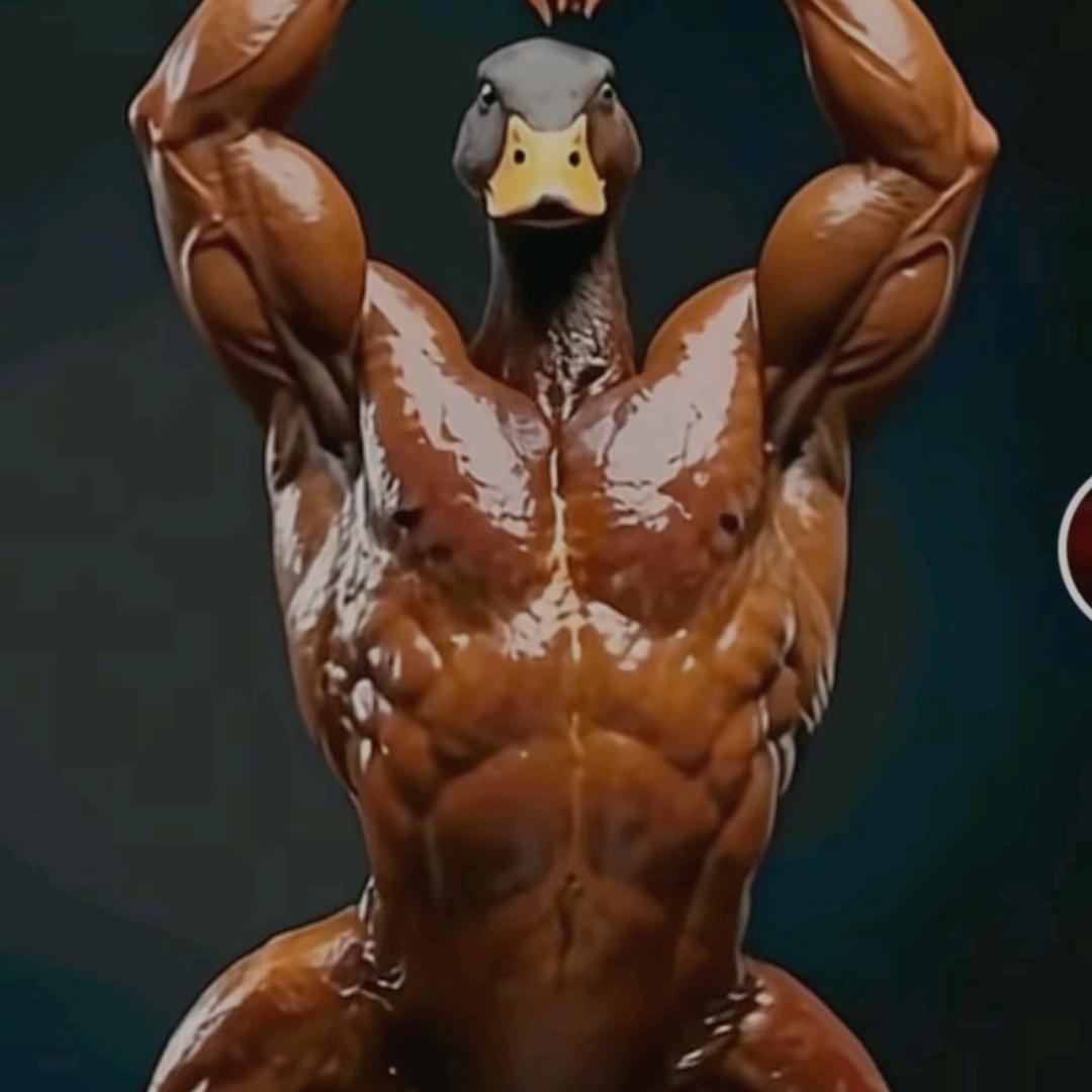 𓂃𓅷𓏲小顺风༶༶⁺₊𓅯₊⁺༶༶