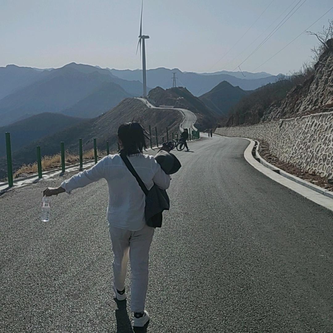 小陳果业