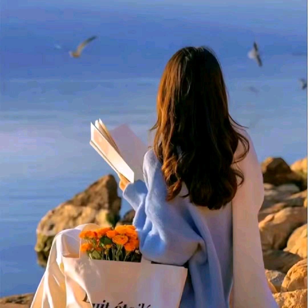 七妹🌸