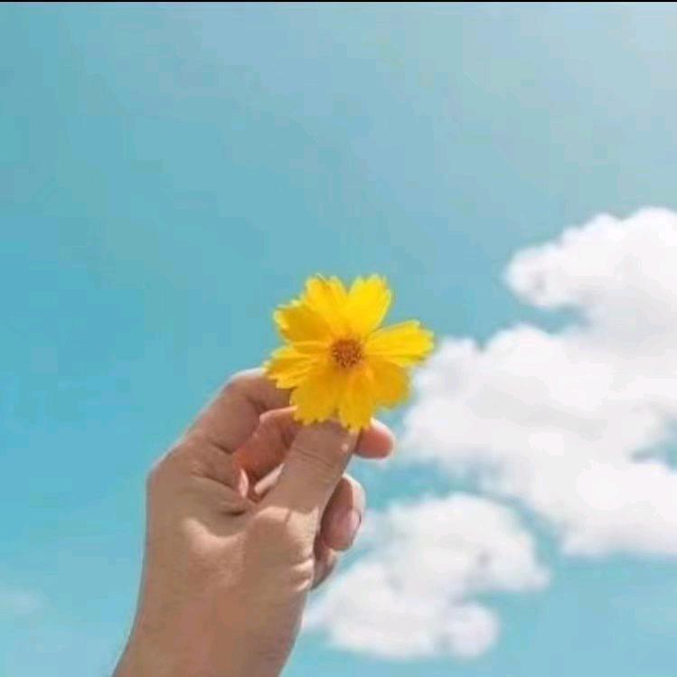 蕲春的图图