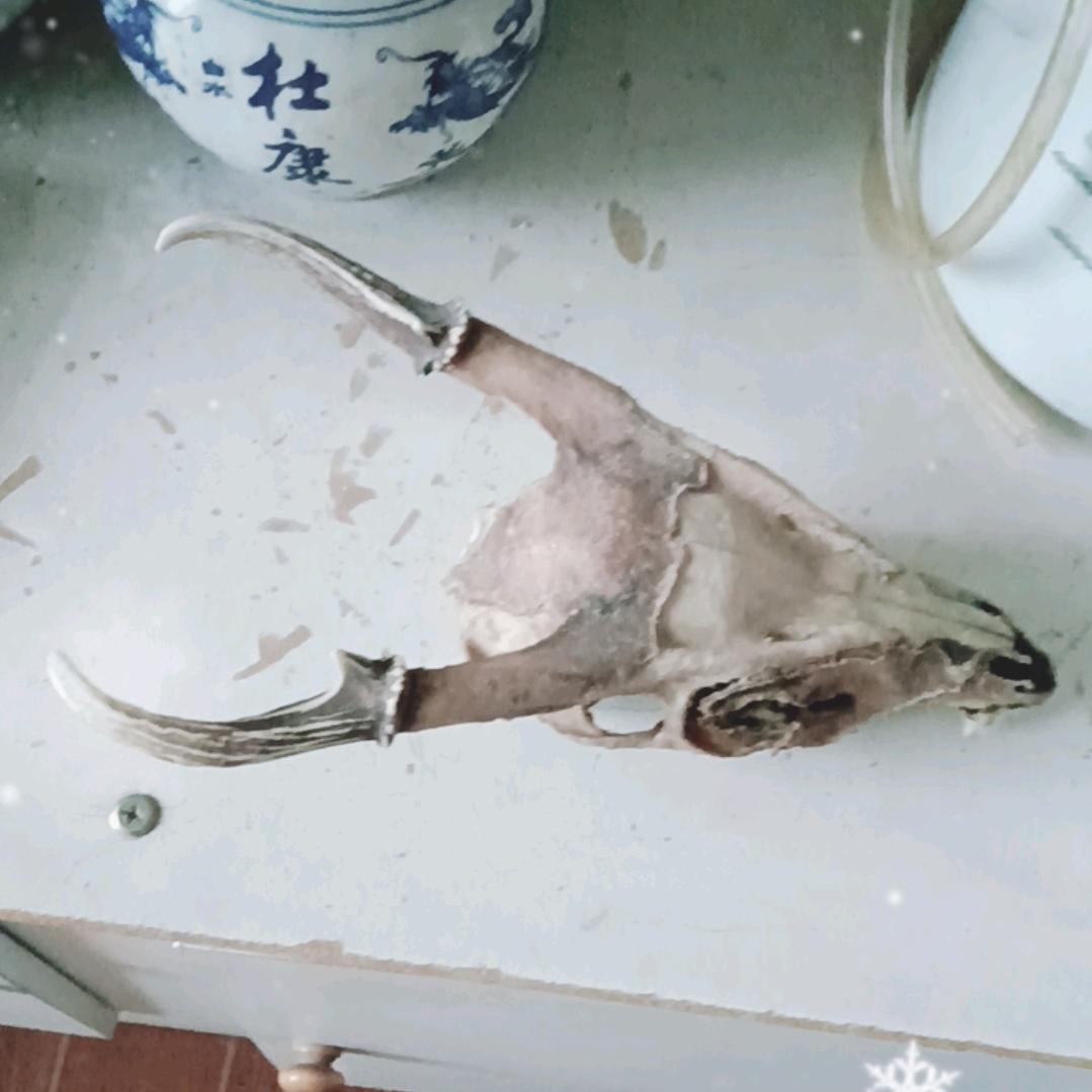 文凤铜器铺
