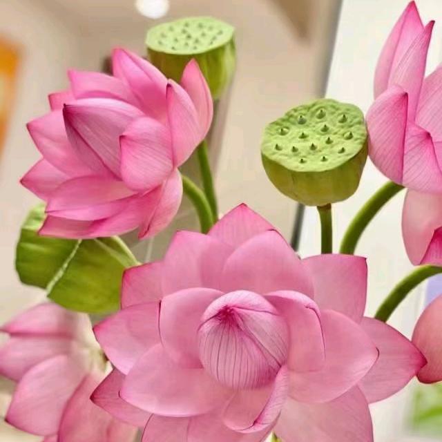 @敏宝妈
