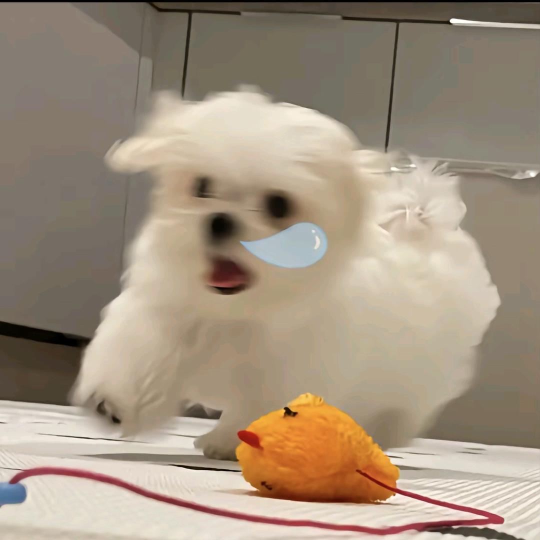 萍萍