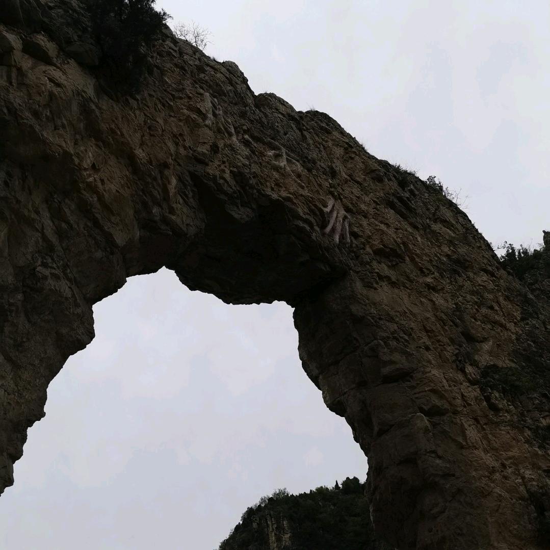 执着的执着