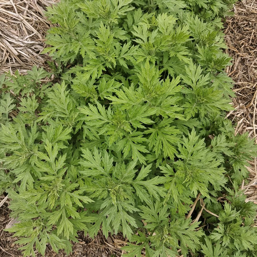 随豫而安头像