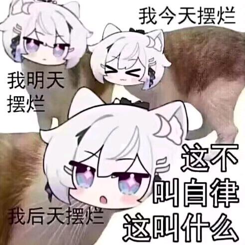 琪猫🐱