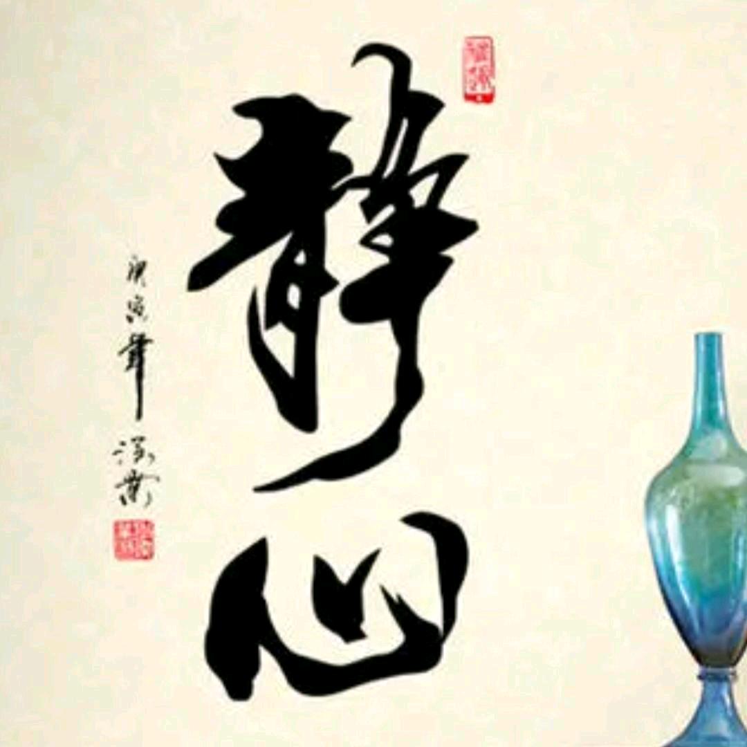 静心（与仔同行）
