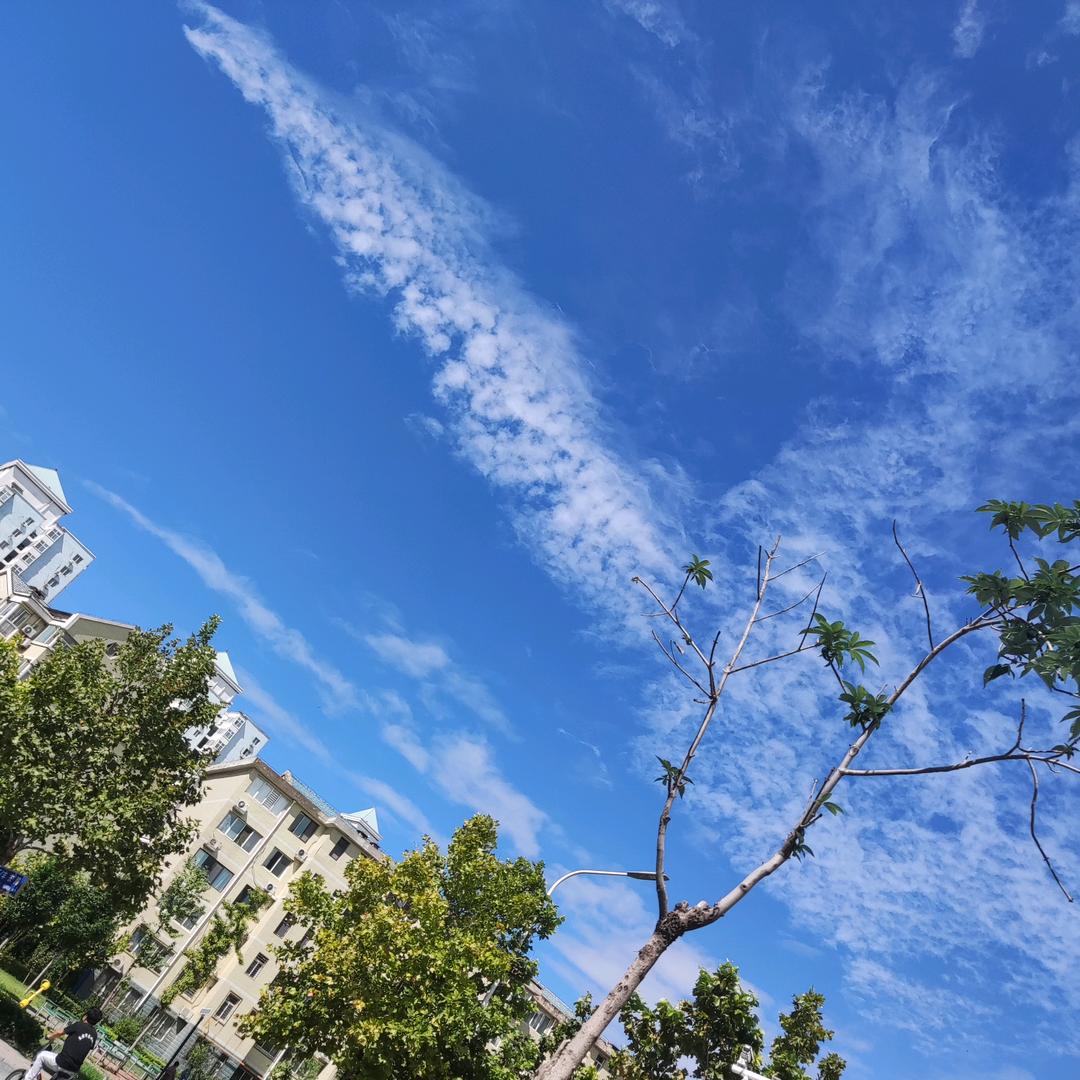 绝世好男人（小涛）