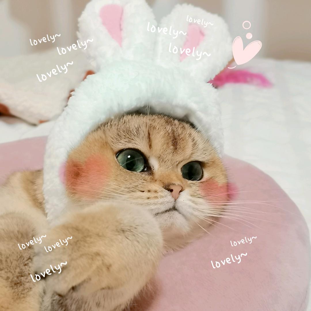 叮当_