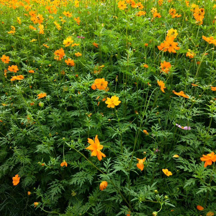 快乐幸福每一天