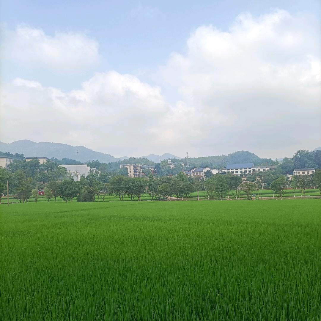 阿非非