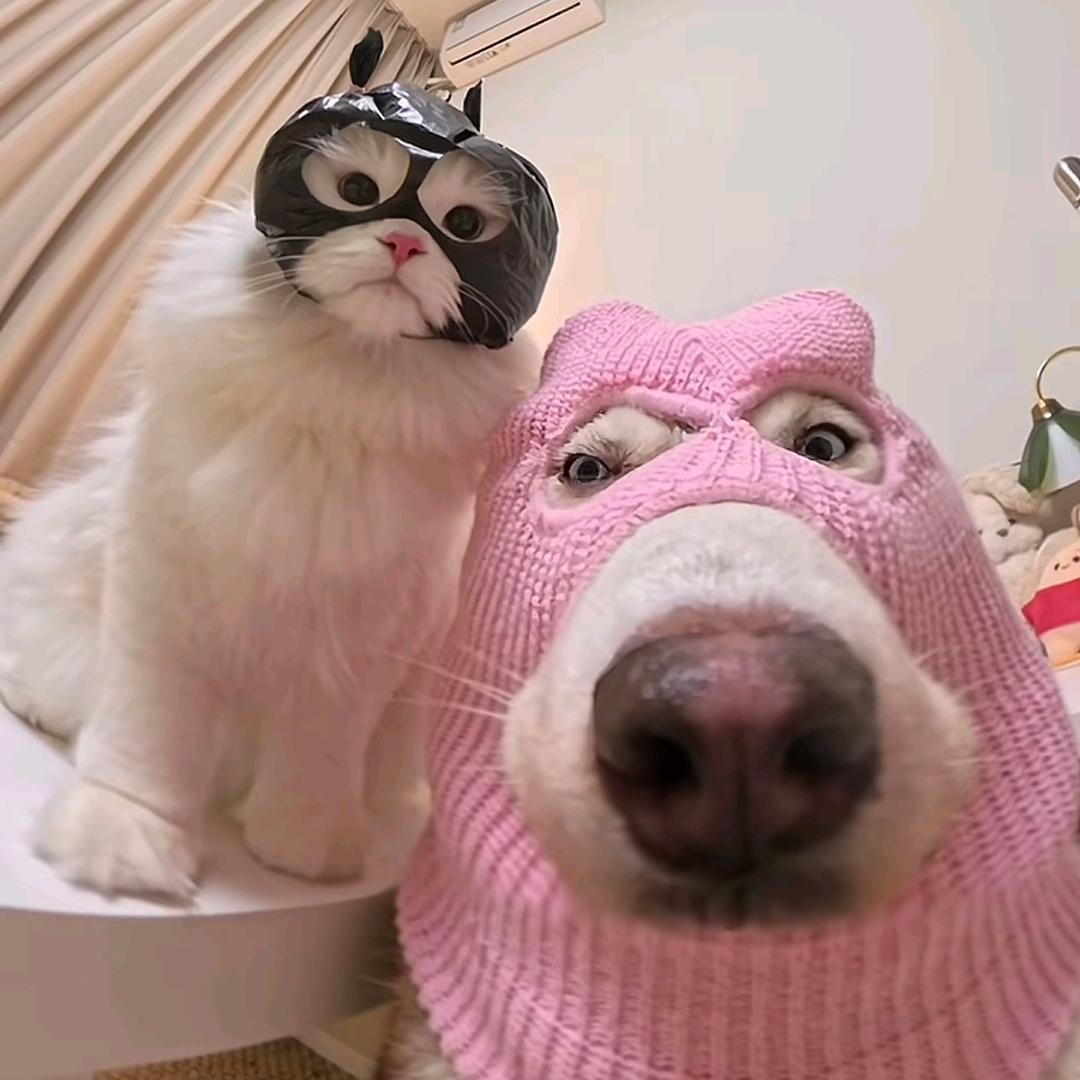曾不错~