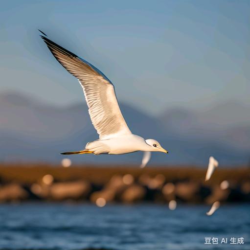 A一个韭菜哥
