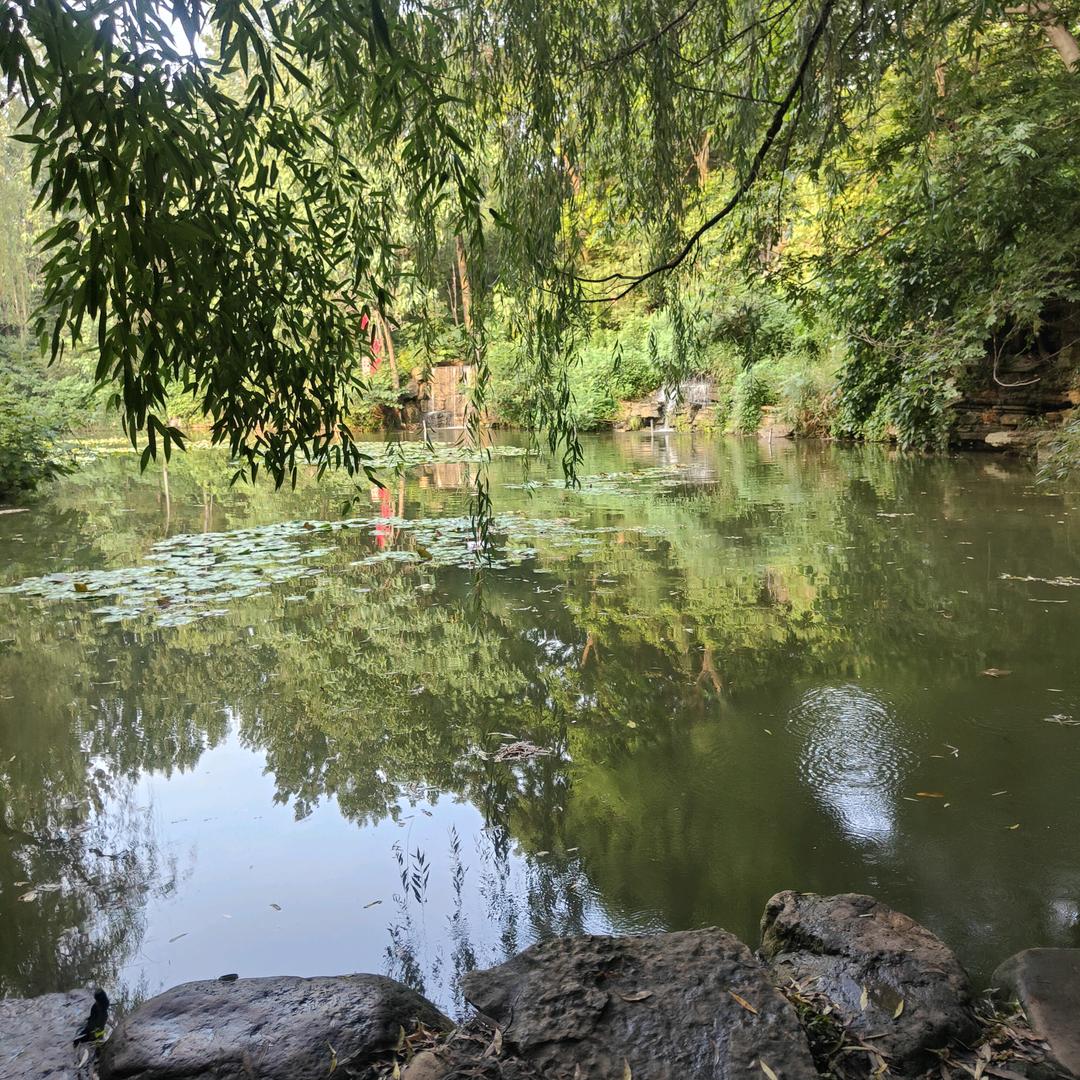 小胖和妈妈餐饮梦
