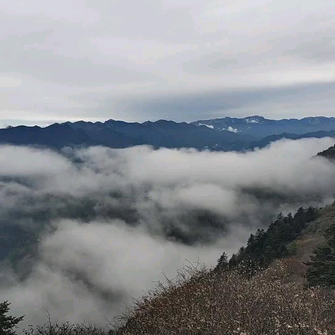 给幸福加勺糖