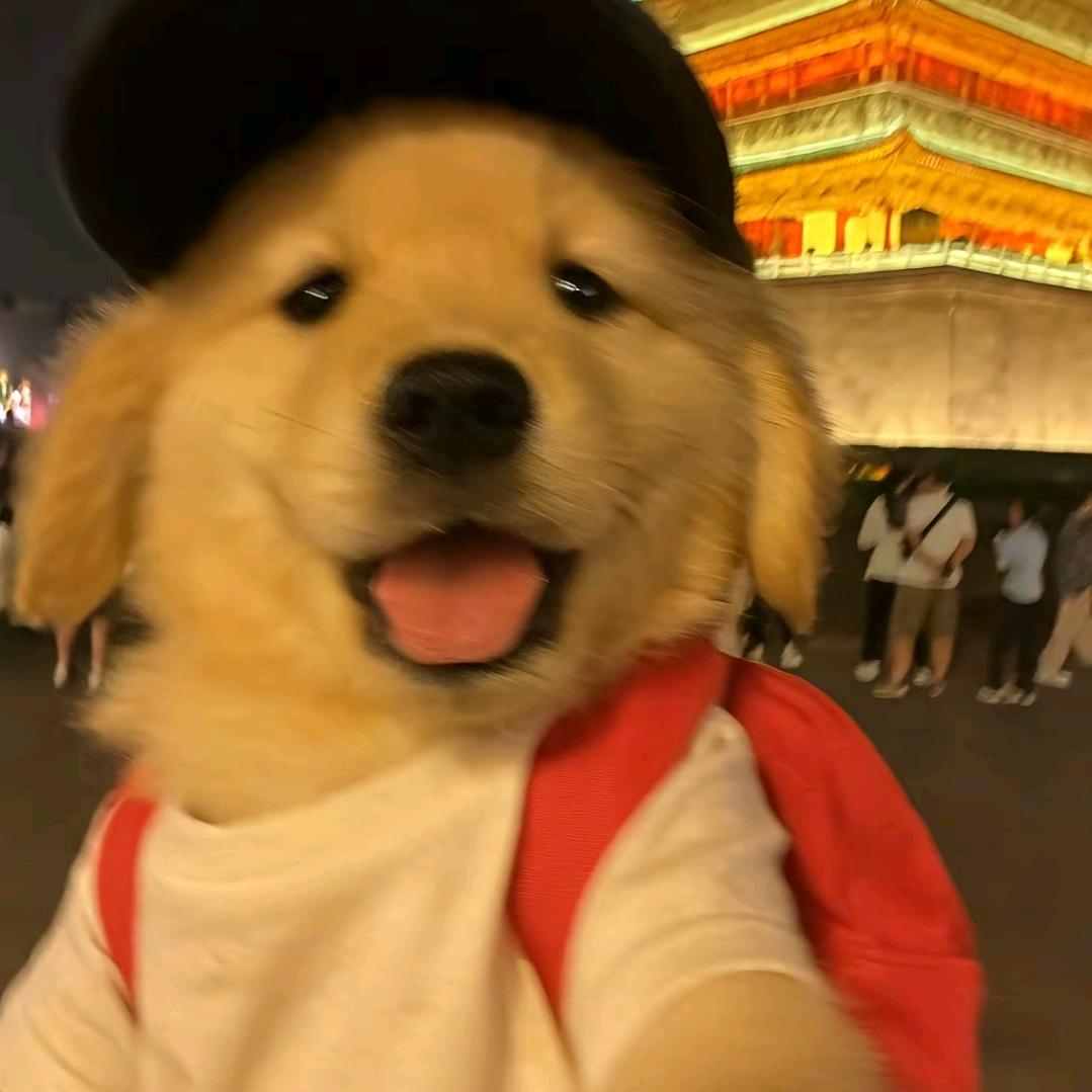 嗨(* ⁰̷̴͈꒨⁰̷̴͈)=͟͟͞͞➳