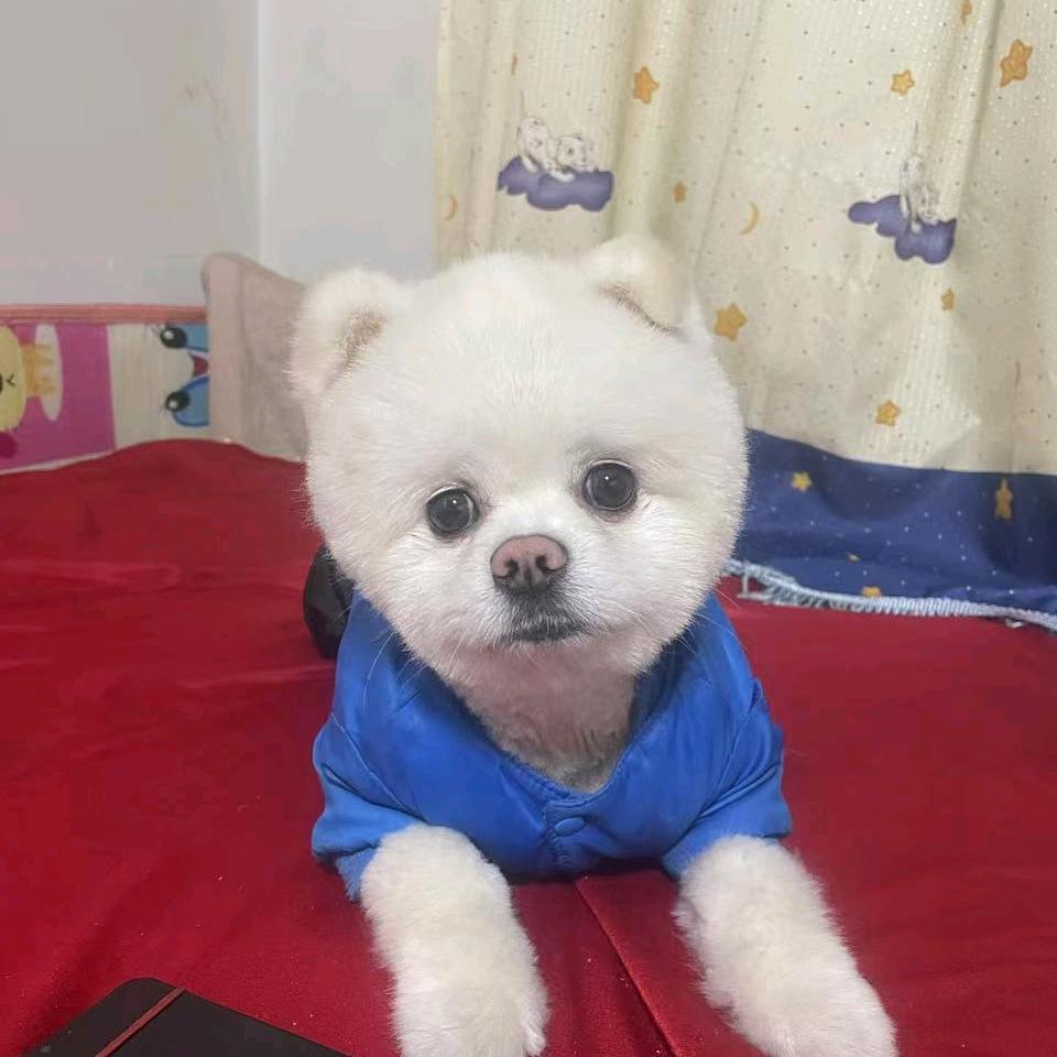 人老心不老