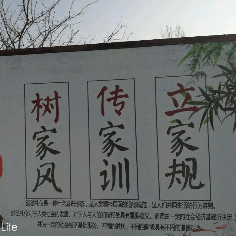 老树