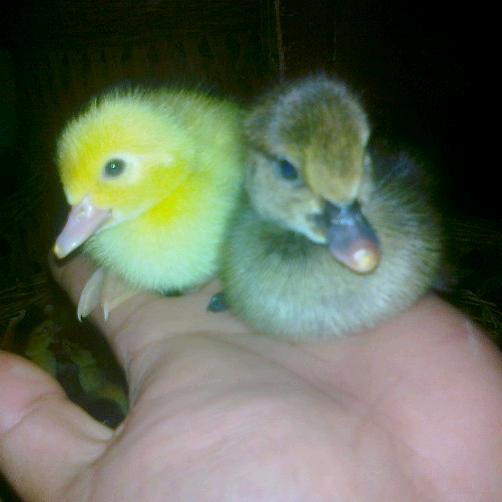 🌈 6️⃣9️⃣🌈🌈🌈