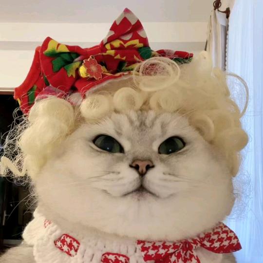 qtdvlhchsmfeknllman
