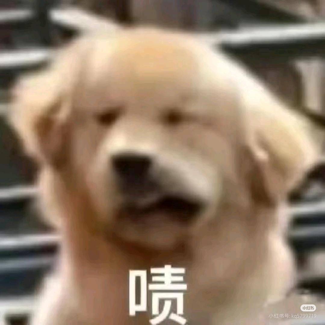 菠菜
