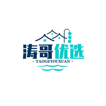 涛哥悟