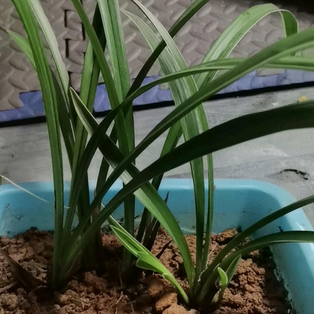 ꦿ꯭锅里有粥💞꧔ꦿ