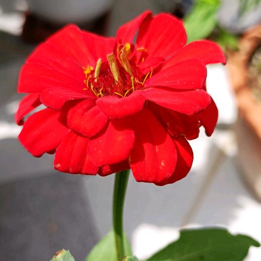 云中雾，云中雾