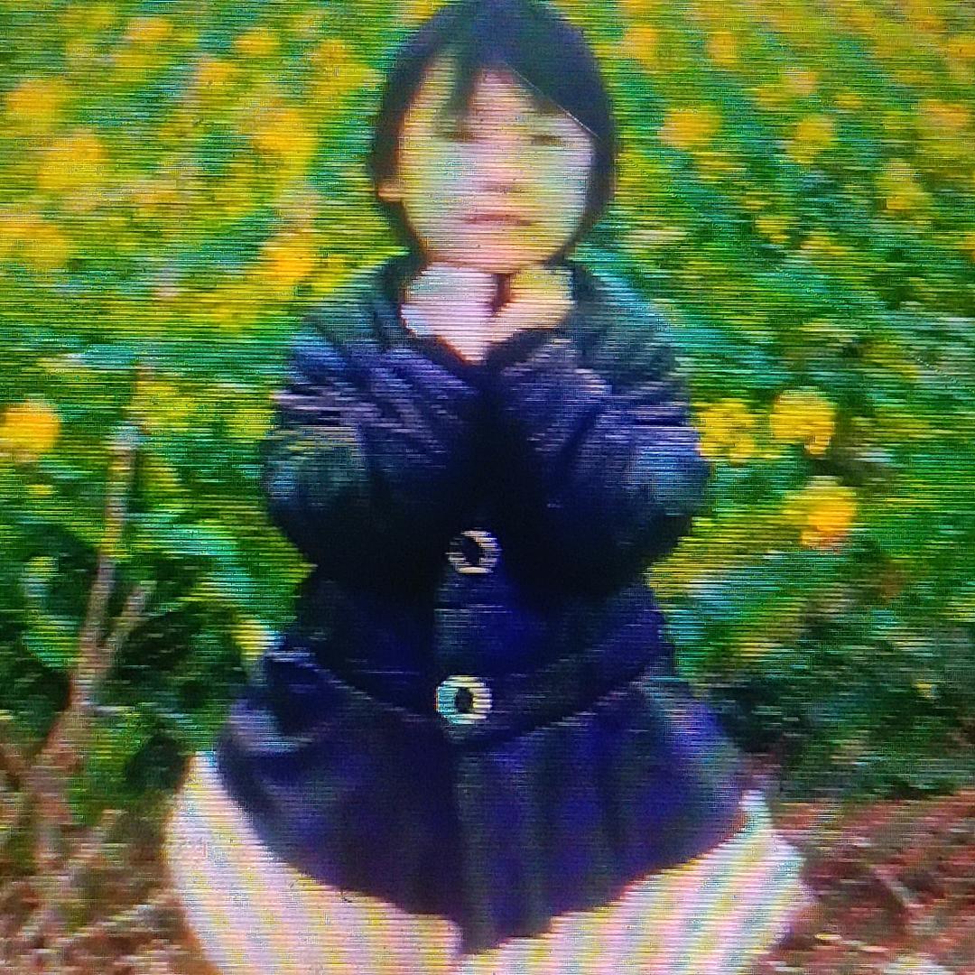红玫瑰🌹🌹🌹