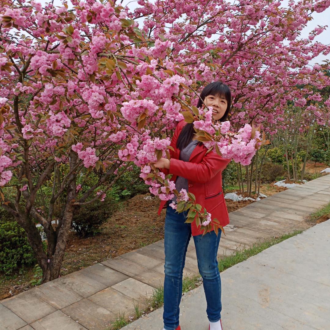 烟消云散我的心 ！