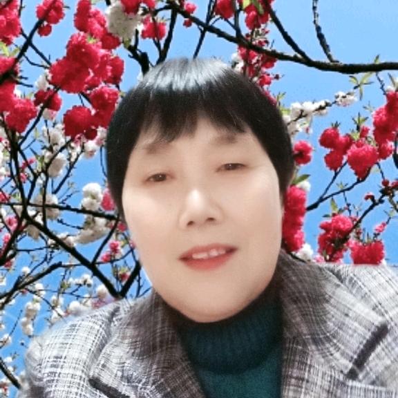 龙姨