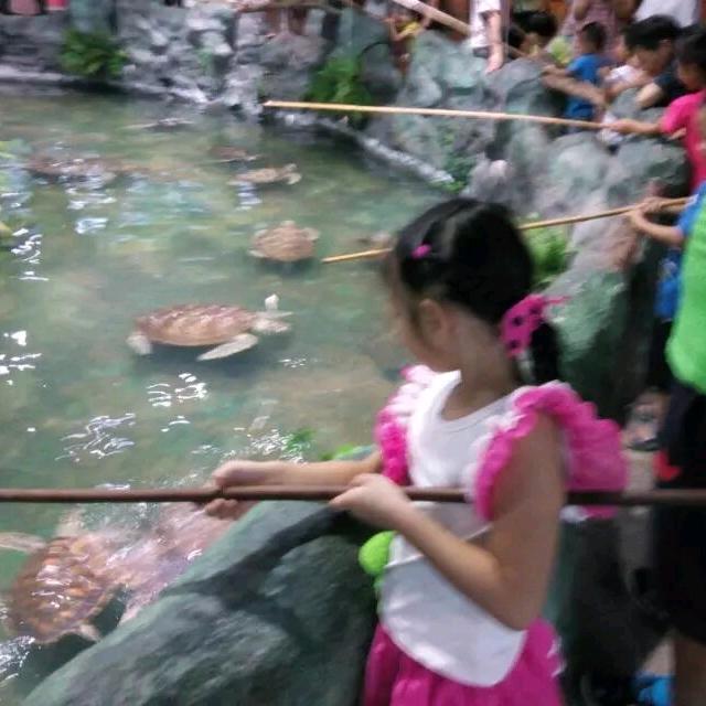 狗菜
