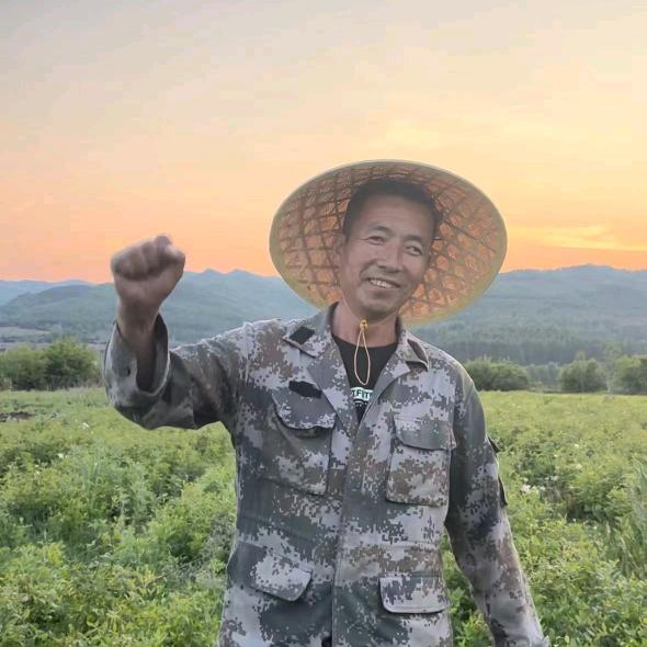 长白山玉木耳特产优选