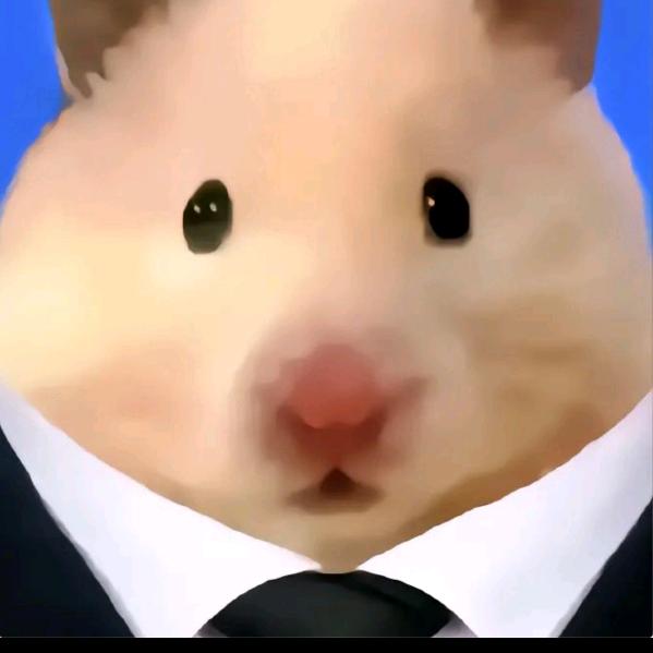 王同学少年