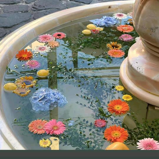 荣悦台天鹅堡-沙沙