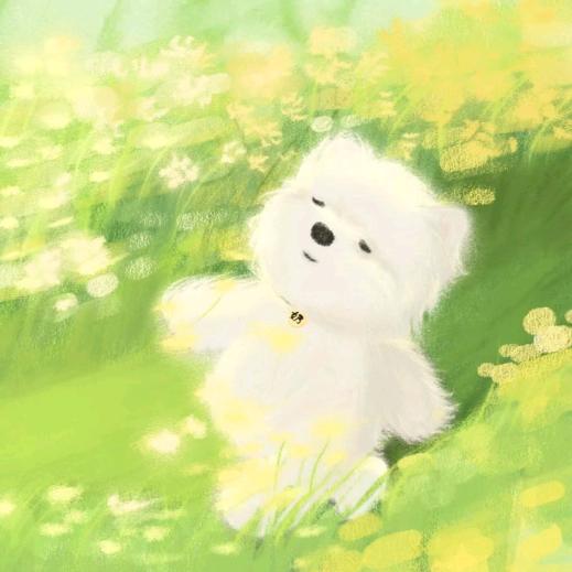 小Yang又困ˡᵃ💤