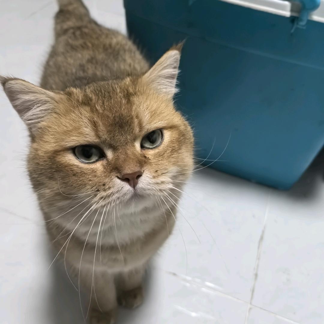 开心             ︑