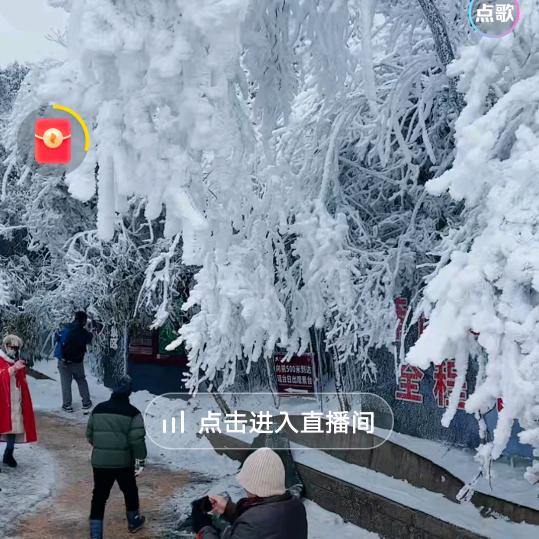 飞翔hzf