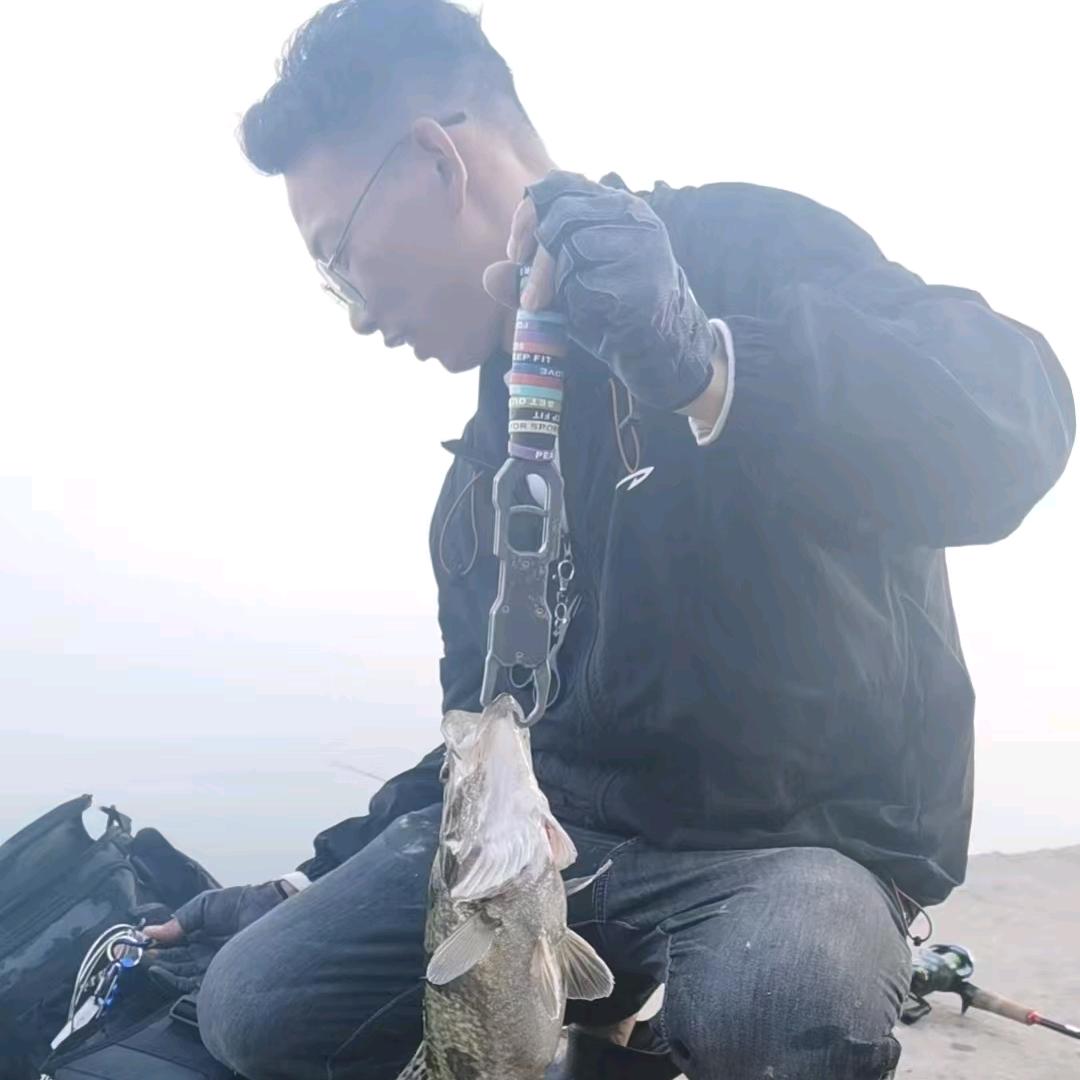 蓝鲸🐋Lure🎣
