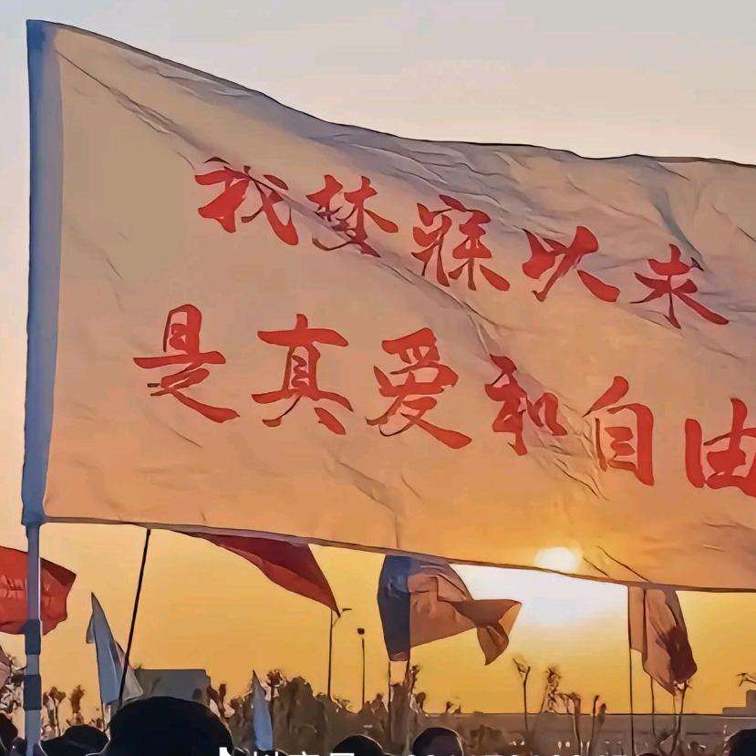 青鹤EVA破